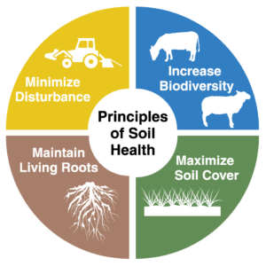 Principles of Soil Health, Minimize Disturbance, Increase Biodiversity, Maintain Living Roots, Maximize Soil Cover