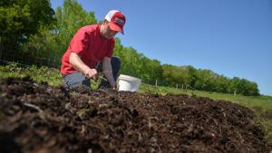 An NC State student tends to soil in a farm field.